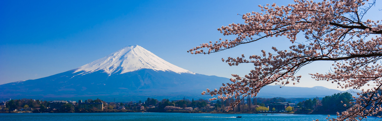 コーポレートサイトにちょうどいい国産CMS
